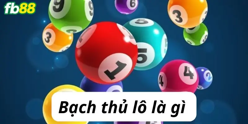 Bạch thủ lô là gì?